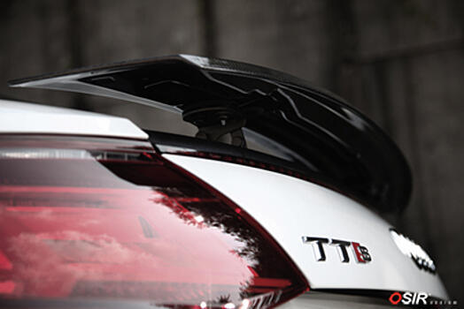 Спойлер из карбона основной Audi TT MK3 8S 2014- Telson TTMK3-R carbon 8S0 827 934 C